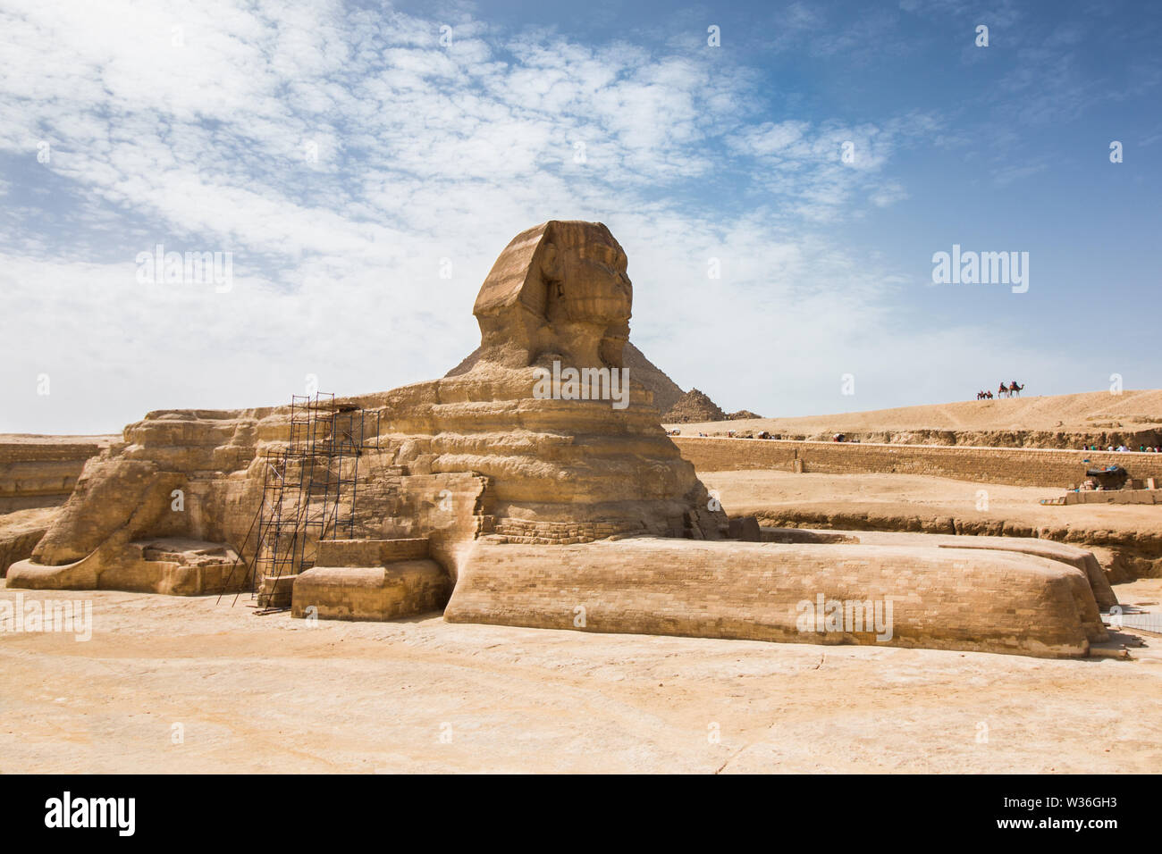 Die Große Sphinx von Gizeh Plateau mit den Pyramiden und Kamele in den Hintergrund. Die volle Länge der Statue. Stockfoto