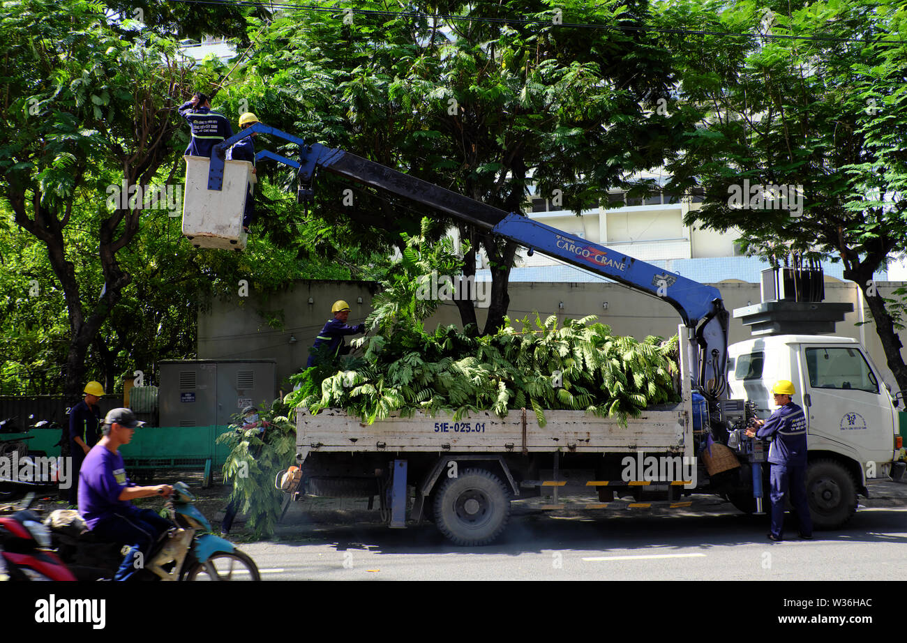 Ho Chi Minh City, Vietnam Arbeiter Arbeiten am Ausleger heben Niederlassung des Baums für die Sicherheit in der Regenzeit zu schneiden, Kran-LKW auf der Straße für die Gruppe von Personen, die Stockfoto