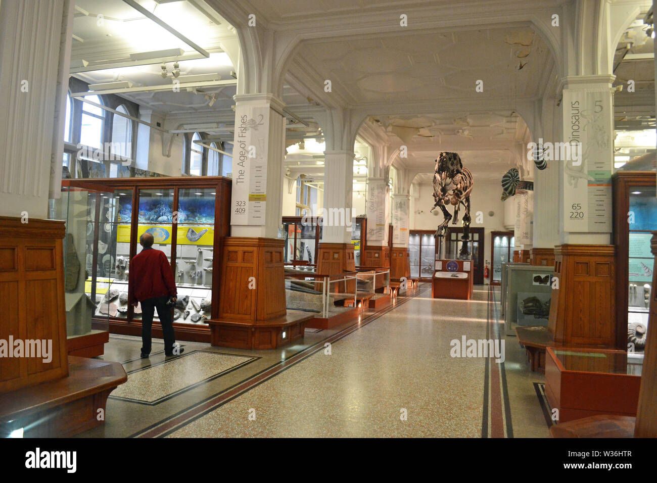 Manchester Museum, Großbritannien. Ein Teil der Universität Manchester Stockfoto