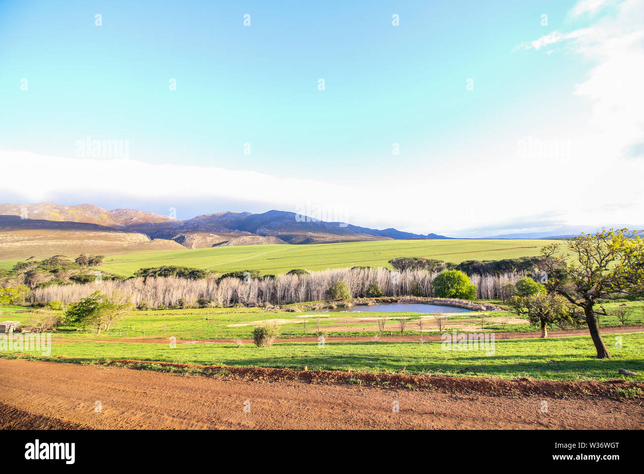 Green Farm Landschaft mit Schotterstraße im Vordergrund und die Berge im Hintergrund, Western Cape, Südafrika. Stockfoto