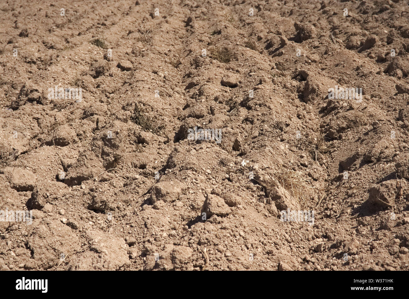 Braun fruchtbaren Boden auf der Farm bereit zu säen. Stockfoto