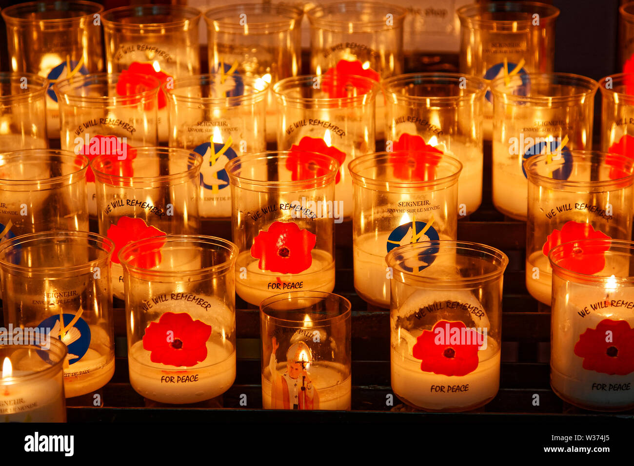 Beleuchtete Votiv Kerzen, Mohnblumen auf Glas, Worte, die wir für den Frieden, die Kathedrale Notre Dame; Katholische Kirche; Europa, Normandie, Bayeux, Frankreich; s Stockfoto