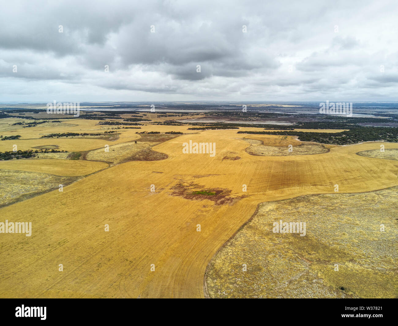 Antenne von dryland farming Practices auf Weizen Felder in der Nähe von calca Süd Australien angebaut Stockfoto
