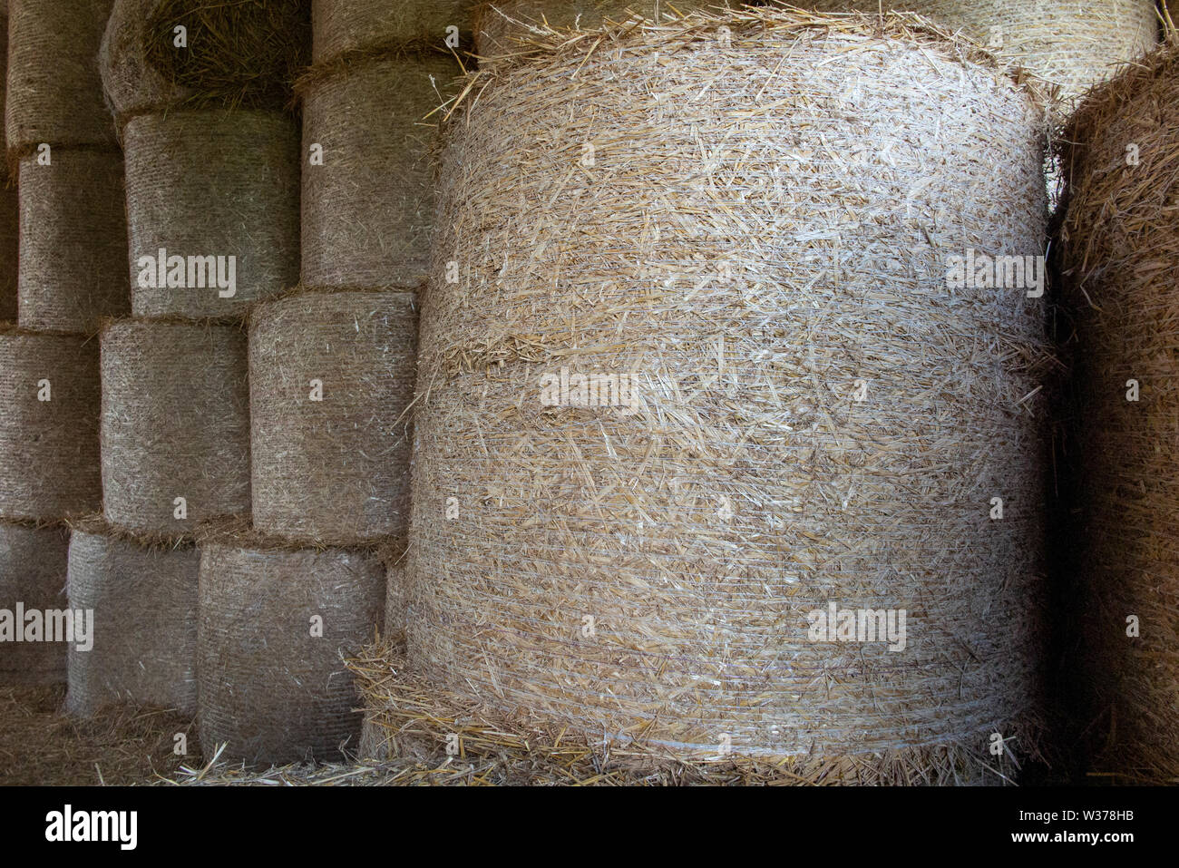 Runde Heuballen in einer Scheune in Kent, England gestapelt Stockfoto