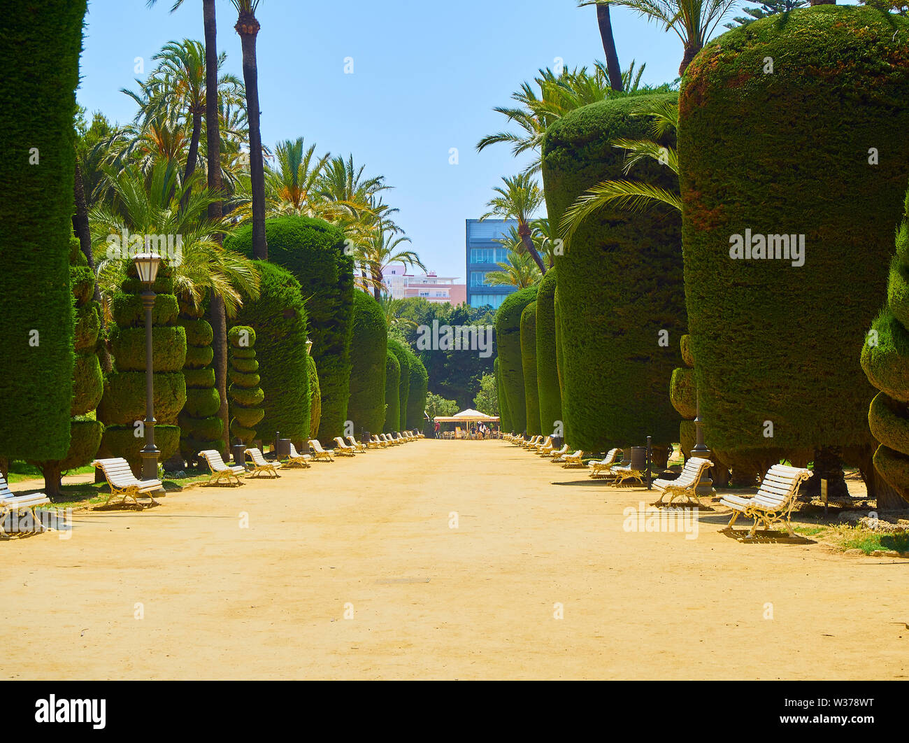 Cadiz, Spanien - 23. Juni 2019. Genoves Park, Botanischer Garten in Cadiz. Andalusien, Spanien. Stockfoto