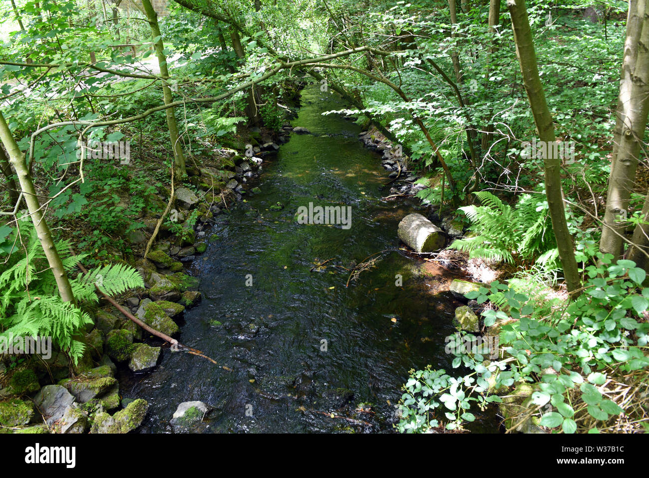 Remscheid, Deutschland. 10. Juli 2019. Der Eschbach, mit dem der Eschbach Damm aufgestaut wurde, nachdem der Damm. Der Eschbach Damm, die 1891 eröffnet wurde, ist der erste Trinkwasser Talsperre in Deutschland. Credit: Horst Ossinger //dpa/Alamy leben Nachrichten Stockfoto