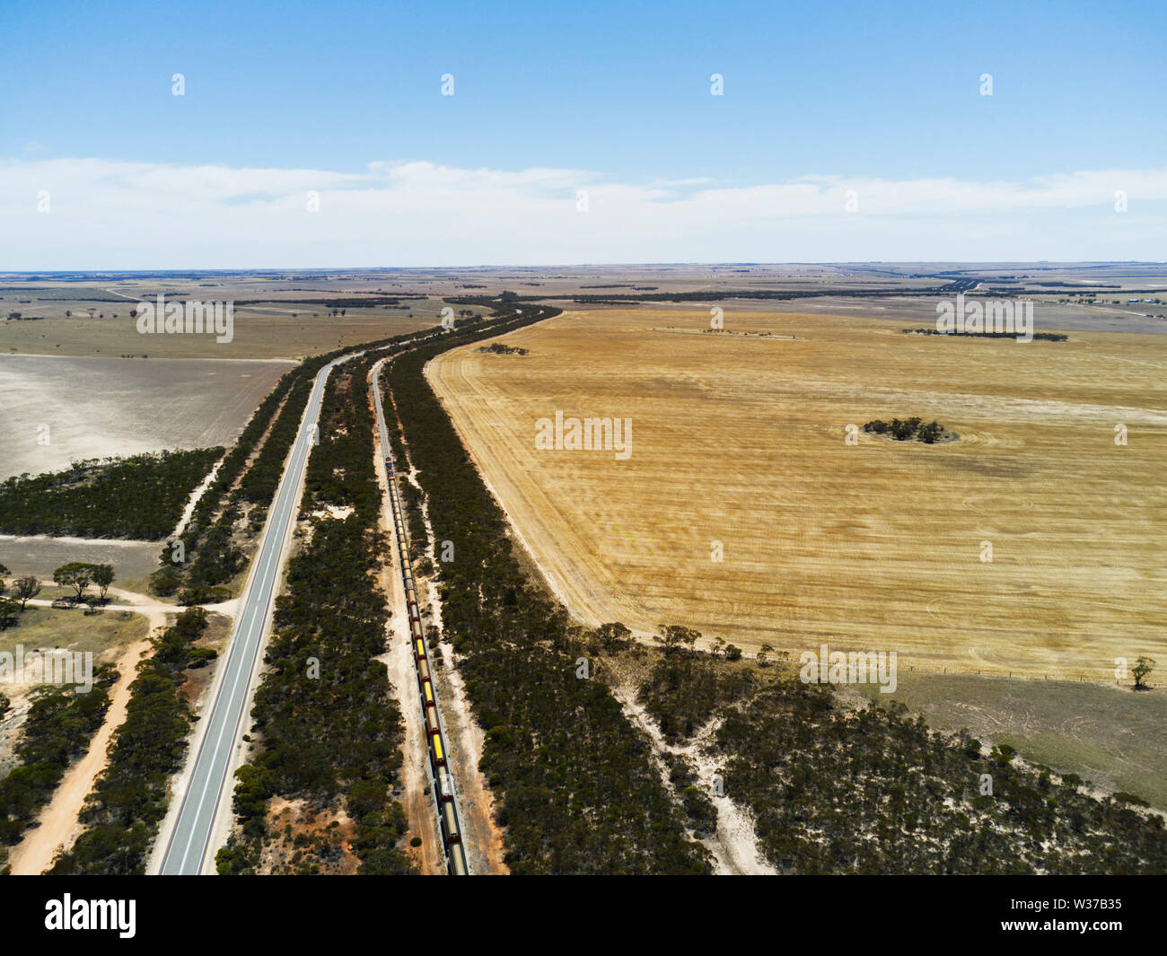 Korn Zug vorbei an den landwirtschaftlichen Feldern von Weizen Gerste auf der Eyre Peninsula South Australia Stockfoto