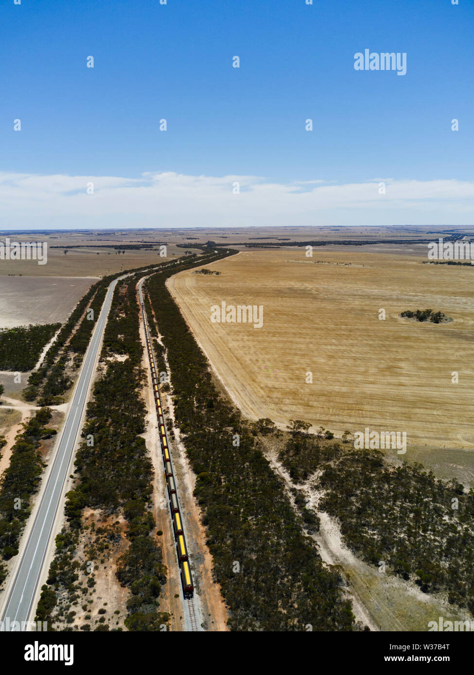 Korn Zug vorbei an den landwirtschaftlichen Feldern von Weizen Gerste auf der Eyre Peninsula South Australia Stockfoto