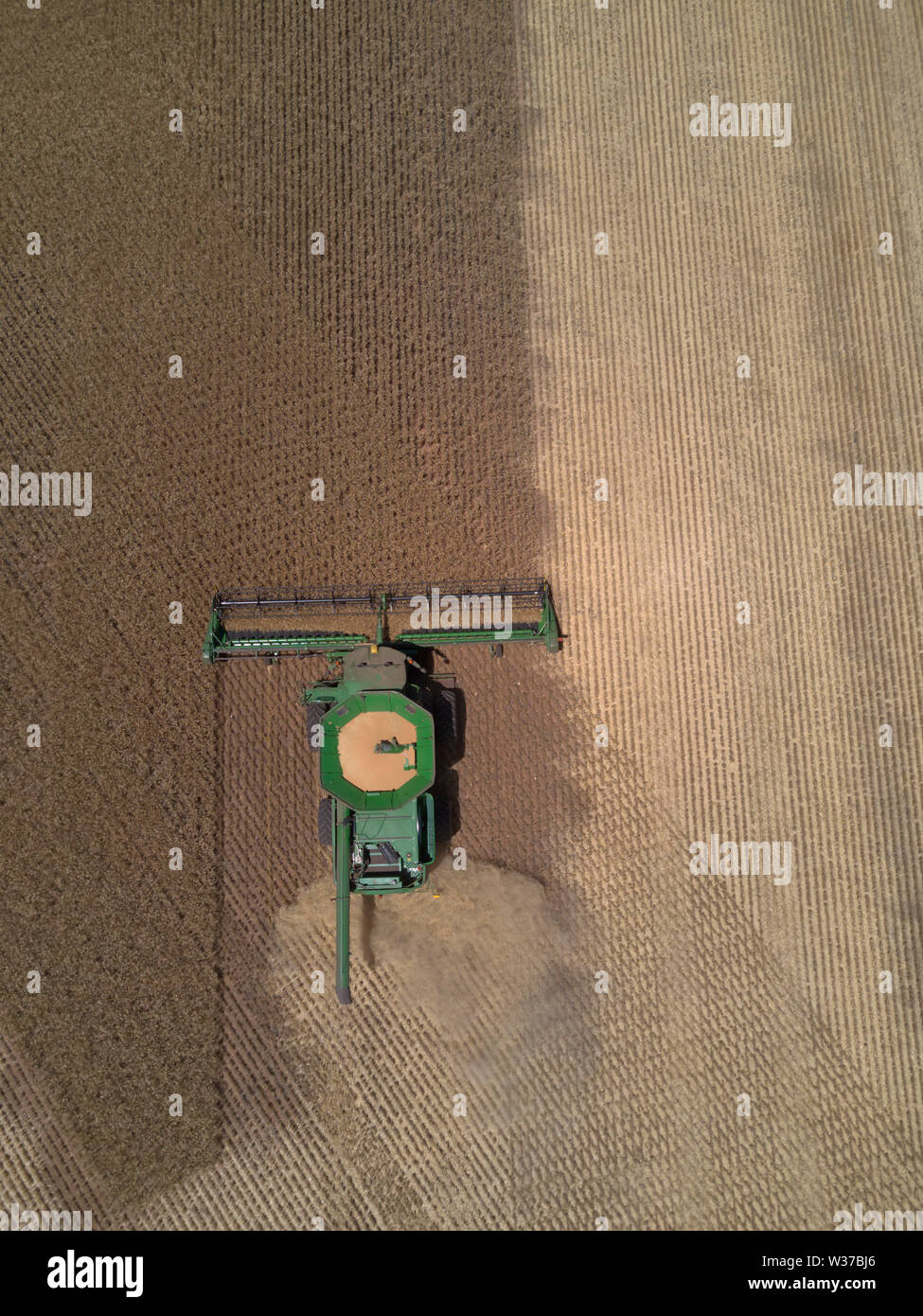 Antenne nadir Blick auf Mähdrescher Ernten von Weizen in großen paddock Eyre Peninsula South Australia Stockfoto