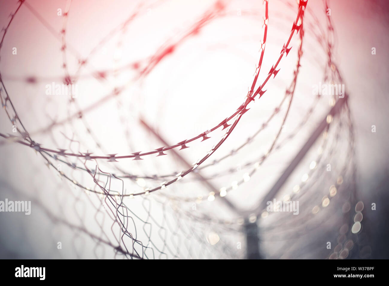 Metall Maschendrahtzaun, der auf einer Spirale Stacheldraht, in rotes Licht hervorgehoben gewickelt ist. Das Bild wird über Kriminalität, und das Rot bedeutet Gefahr ein Stockfoto