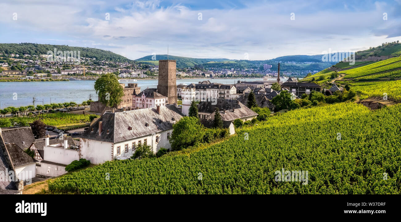 Mit Blick auf den Weinberg von der Seilbahn in Niederwalddenkmal Rüdesheim, Deutschland. Stockfoto