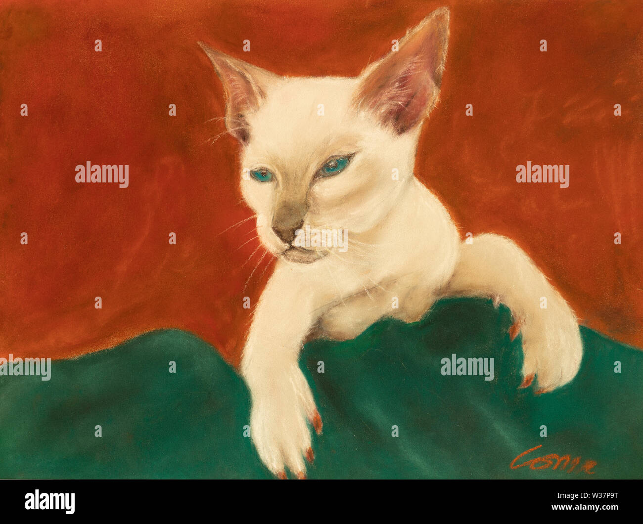 Kopf und Schultern eines Siamesische Katze mit strahlend blauen Augen in Pastell Stockfoto