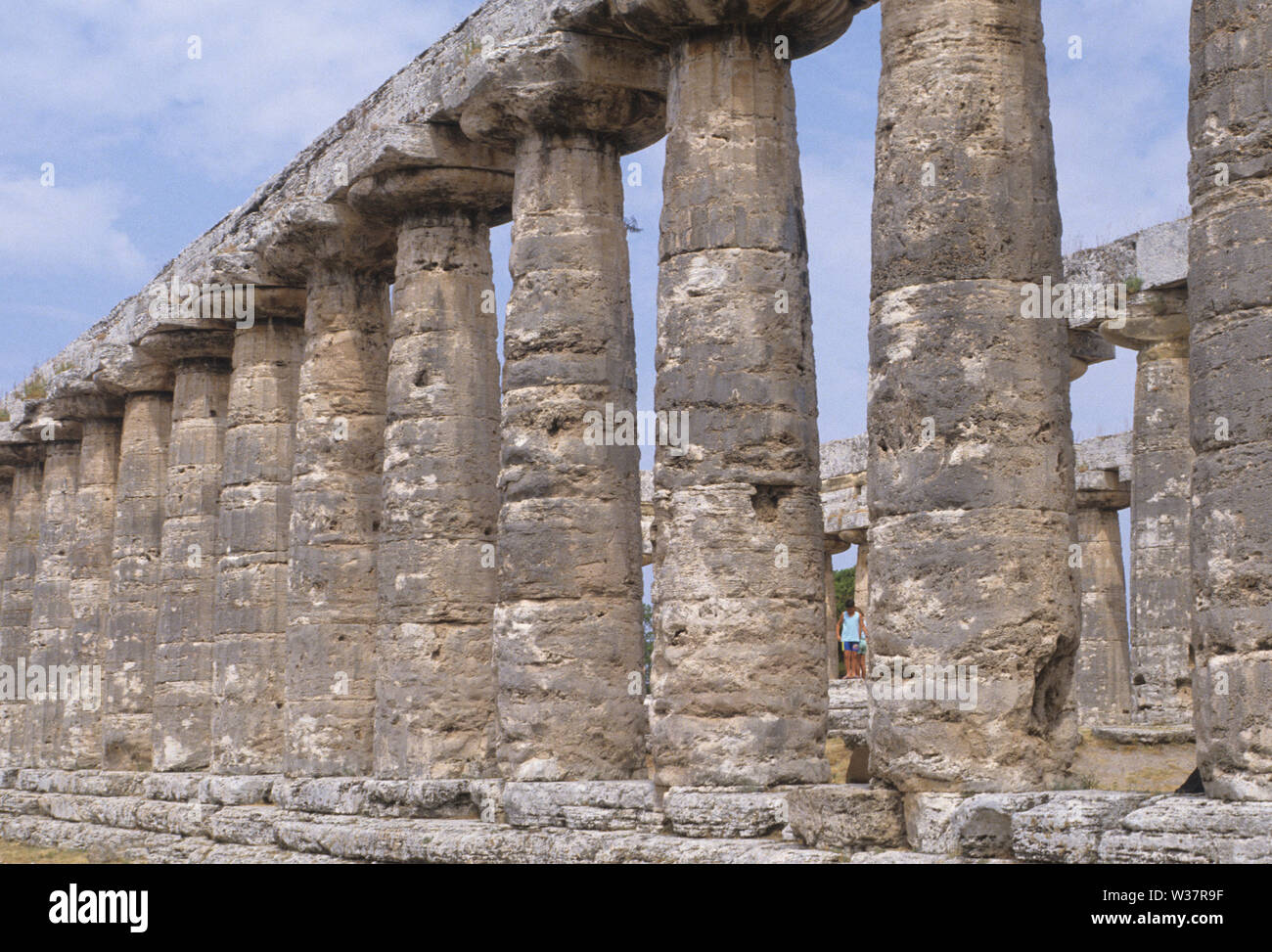 Griechische Tempel. Paestum, Salerno Provinz, Kampanien, Italien Stockfoto