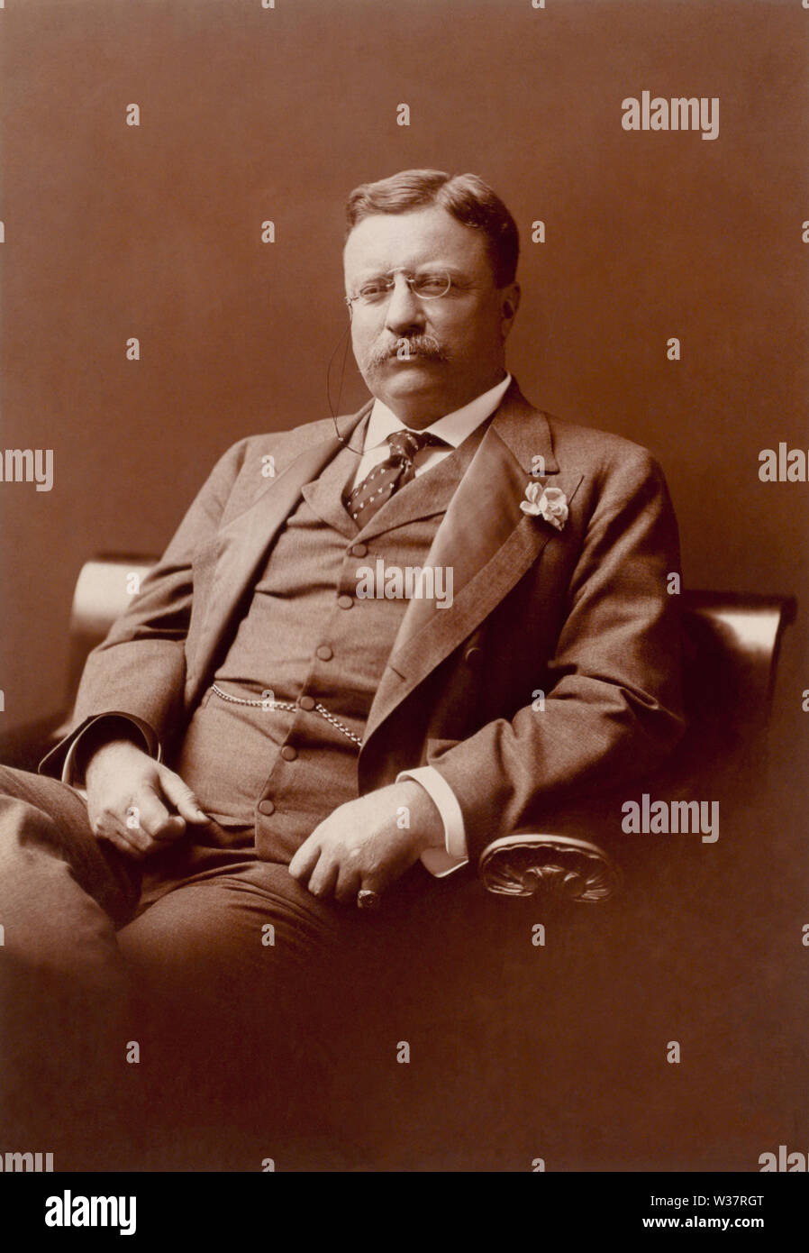 Theodore Roosevelt, 26. Präsident der Unied States, drei Viertel - Länge Porträt, sitzt links, vorwärts gerichtet, tragen Blumen im Revers Stockfoto