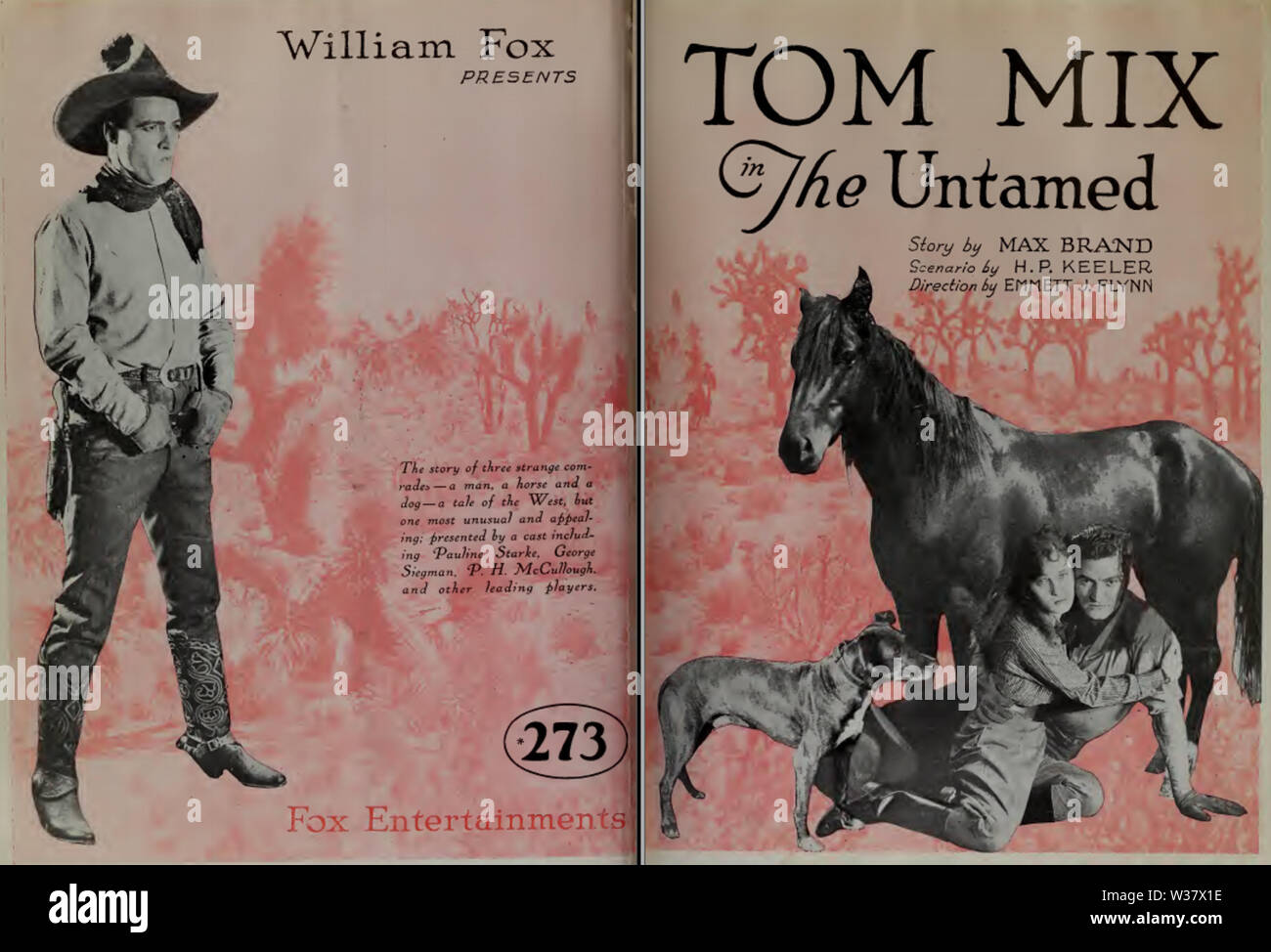 Tom Mix in der Ungezähmten von Emmet J Flynn Stockfoto