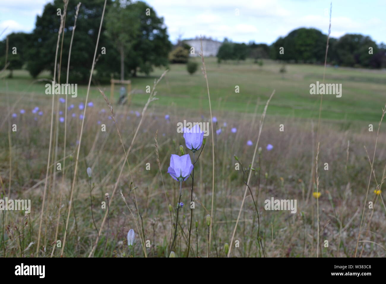 Die wiedereröffnet Beckenham Place Park mit neu 283 m See und Strand, alte Wälder, Wiesen und Herrenhaus mit Bar, Cafe und Gemeinschaft Zimmer erstellt Stockfoto