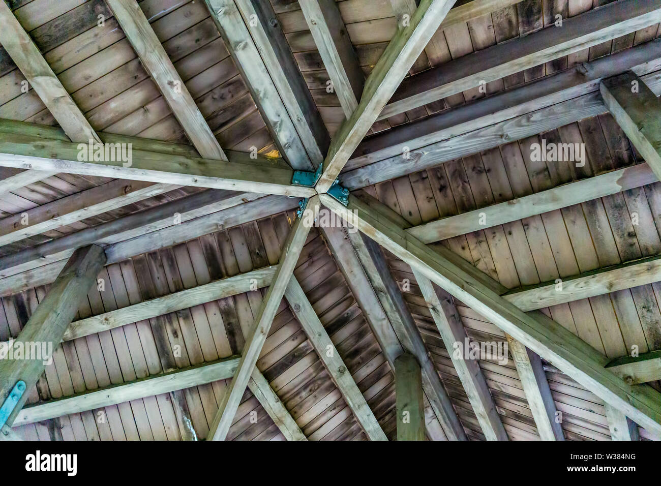 Auf der Suche auf ein Dach in einem Park Pavillon in Renton, Washington. Stockfoto