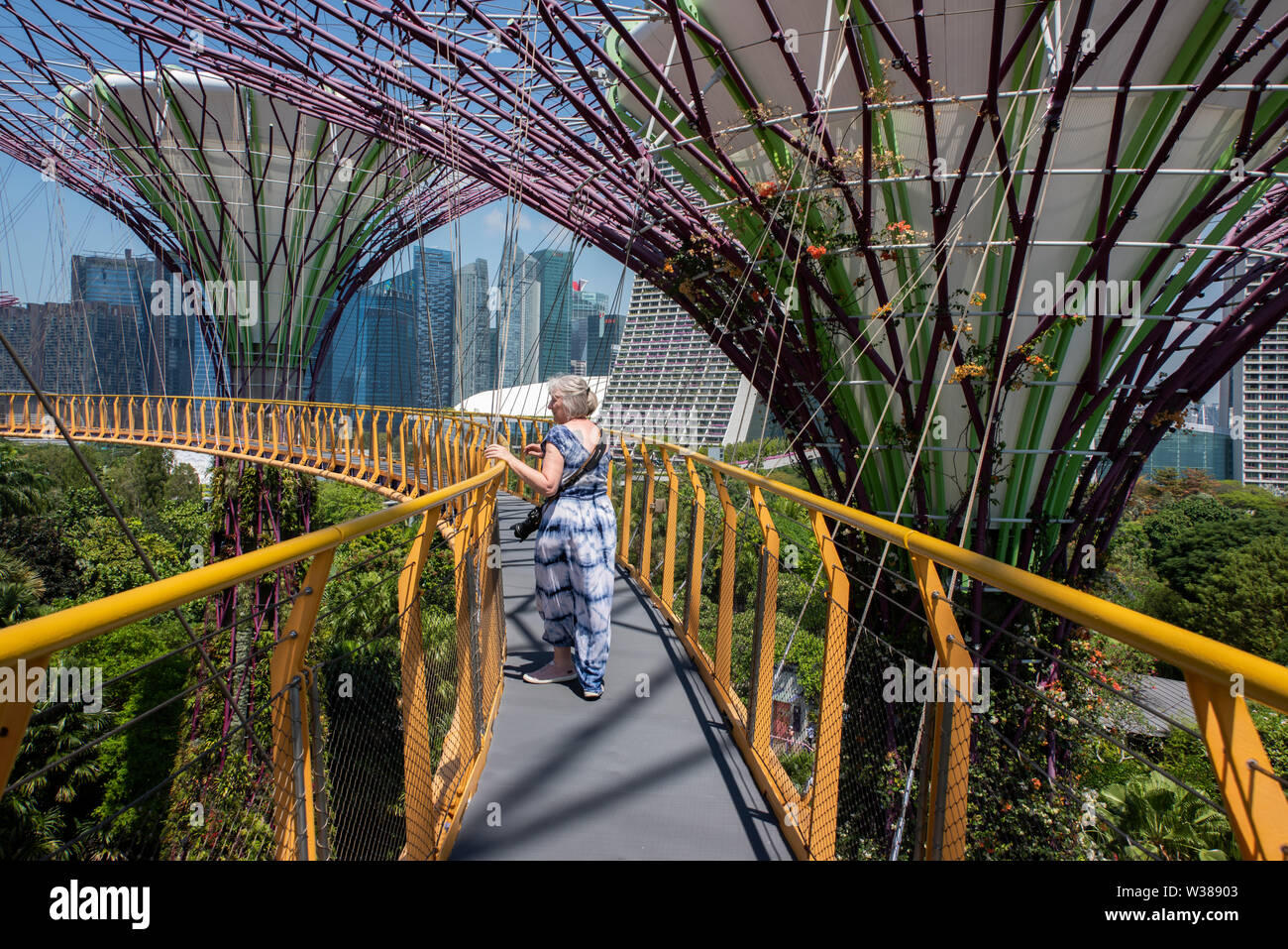 Singapur, Gärten durch die Bucht, Supertree Grove, vertikale Gärten bis zu 16 Stockwerke hoch. OCBC Skyway. Stockfoto