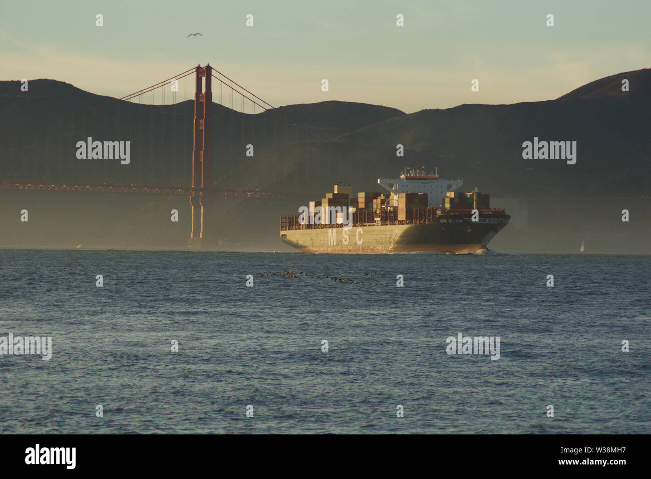 SAN FRANCISCO, California, United States - Jun 25th, 2018: MSC Frachtschiff SILVIA in die Bucht von San Francisco unter der Golden Gate Bridge auf der Stockfoto