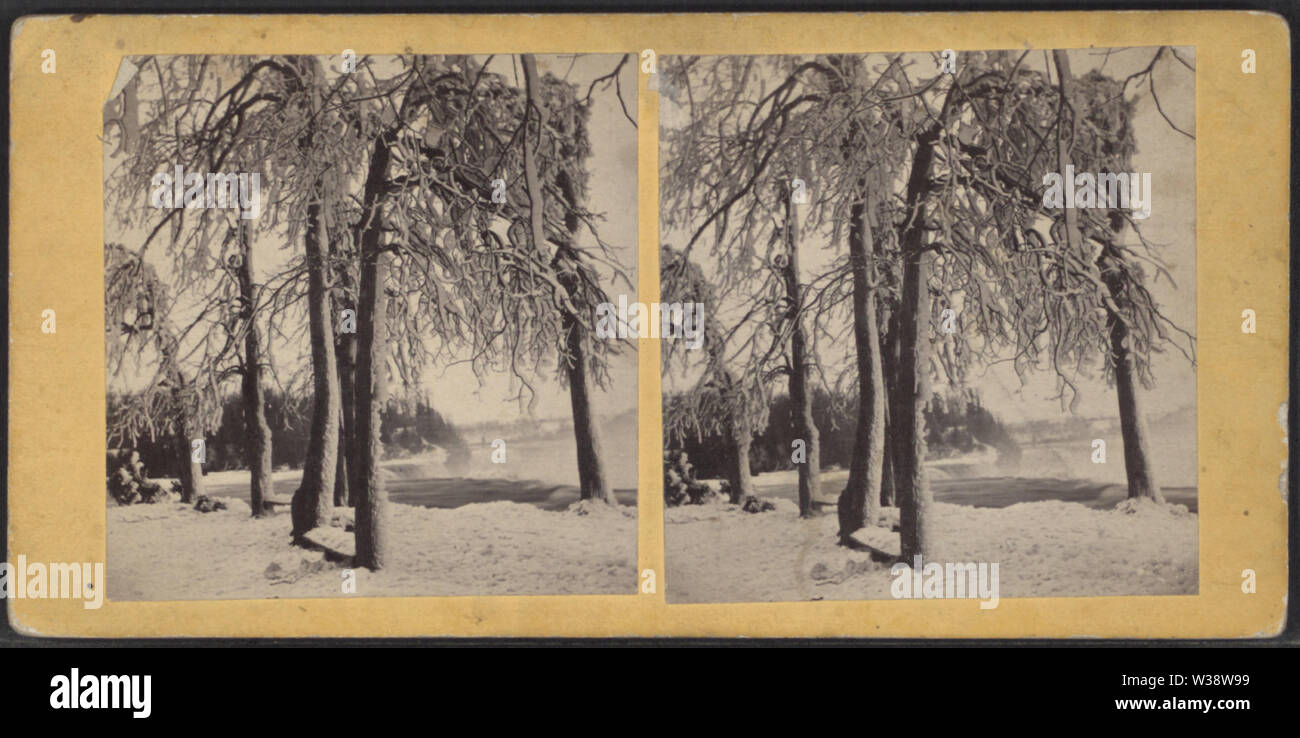 Winter-Blick auf Bäume und Fluss, Niagara, von Samuel Mason Stockfoto