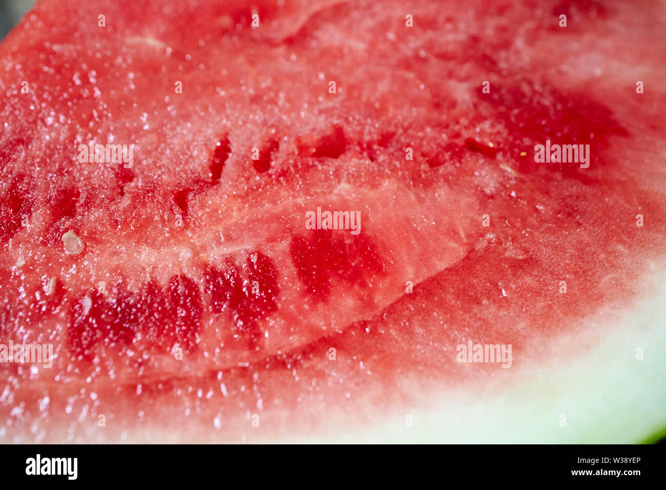 Frisch geschnittene Kernlose Wassermelonen detail USA Vereinigte Staaten von Amerika Stockfoto