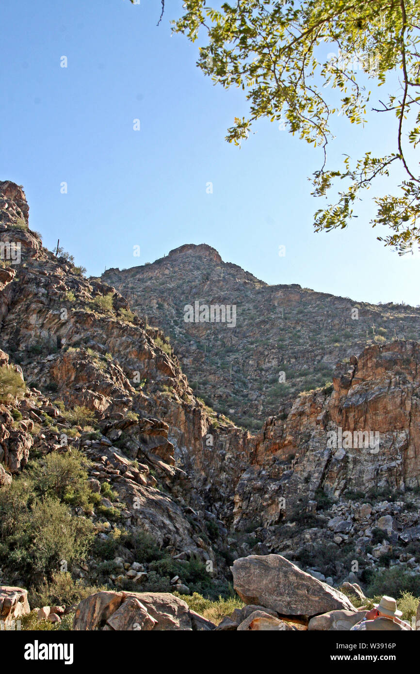 Arizona Mountain Range mit mehreren Farben blauer Himmel Äste Zweige auf Kante Stockfoto