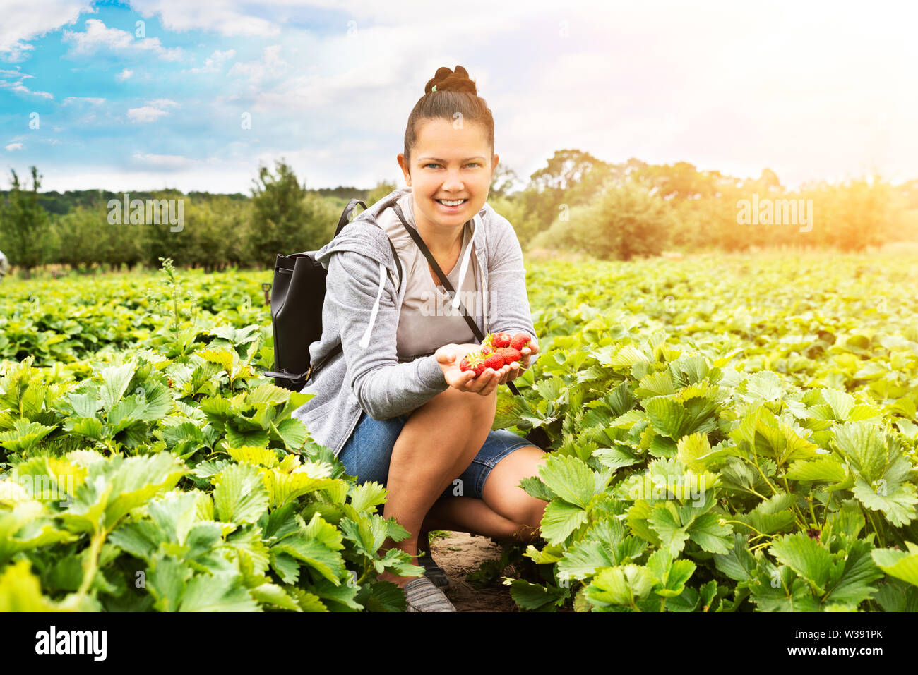 Lächelnden jungen Frau Kommissionierung Erdbeeren im Feld Stockfoto