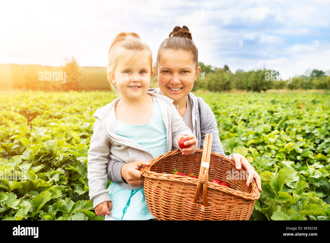 Mädchen Kommissionierung Erdbeeren zusammen mit ihrer Mutter im Garten Stockfoto
