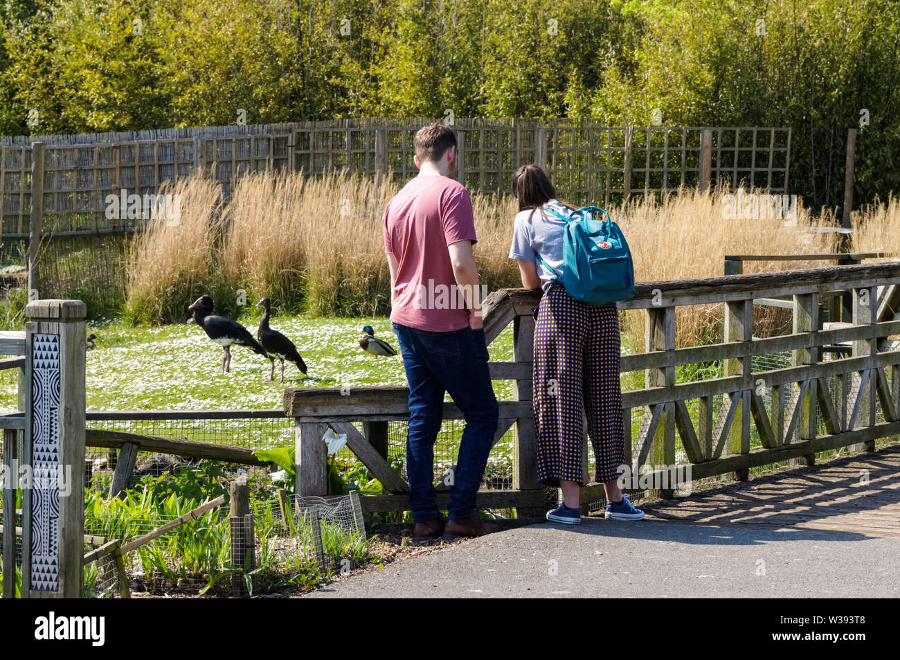 Besucher des WWT London Wetland Centre in The Barnes, London, England, Großbritannien Stockfoto