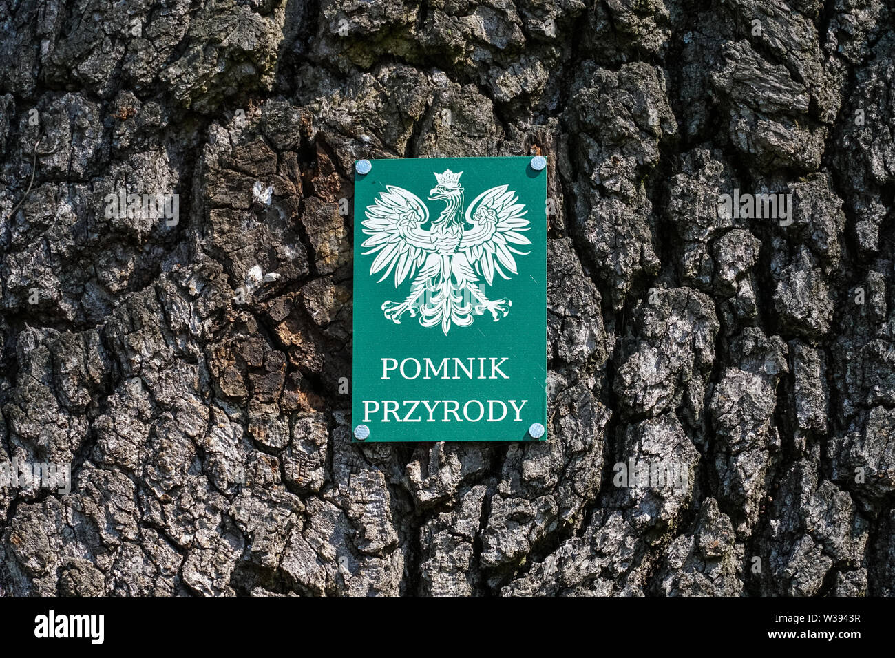 Naturdenkmal Zeichen auf einen alten Baum, Polen Stockfoto