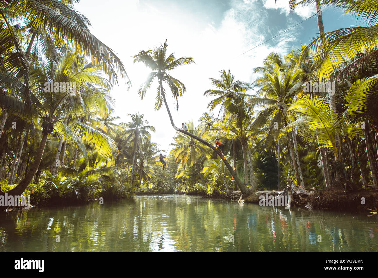 Berühmte instagrammed schiefen Palm Tree Maasin Fluss in Siargao, Philippinen - Menschen Spaß schwingen auf eine Kokospalme in den Dschungel Stockfoto
