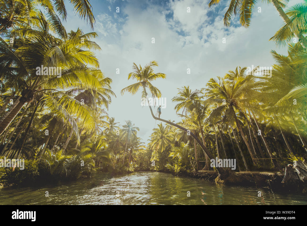 Berühmte instagrammed schiefen Palm Tree Maasin Fluss in Siargao, Philippinen - Menschen Spaß schwingen auf eine Kokospalme in den Dschungel Stockfoto