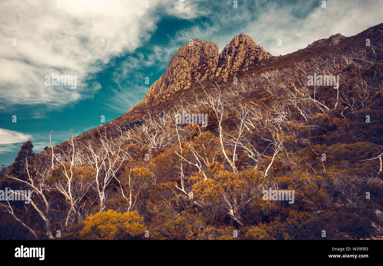 Die ikonischen Cradle Mountain ab Gesicht Spur gesehen Stockfoto