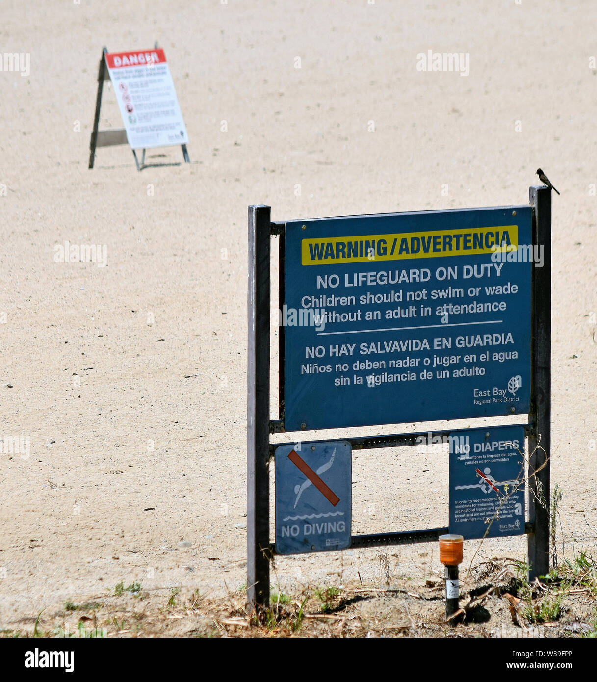 Warnung, keine Rettungsschwimmer am Strand an den Bereich Schwimmen, Hufeisensee, Steinbruch Lakes Regional Recreation Area, Kalifornien Stockfoto