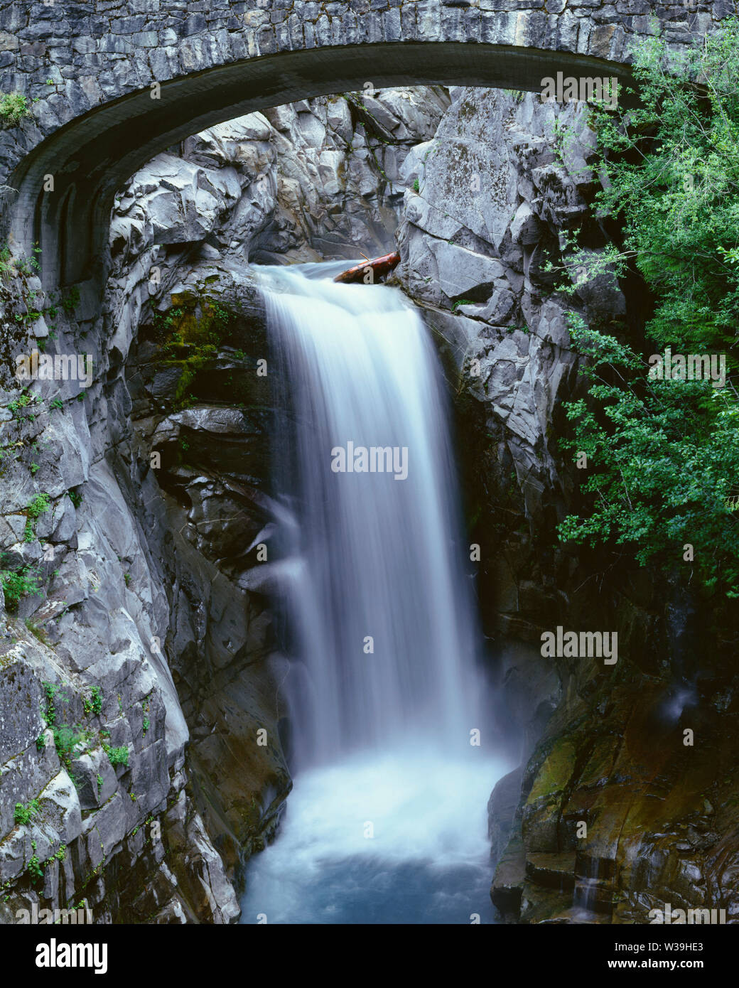 USA, Washington, Mt. Rainier National Park, Christine fällt und steigt schnell unter einer historischen Brücke. Stockfoto