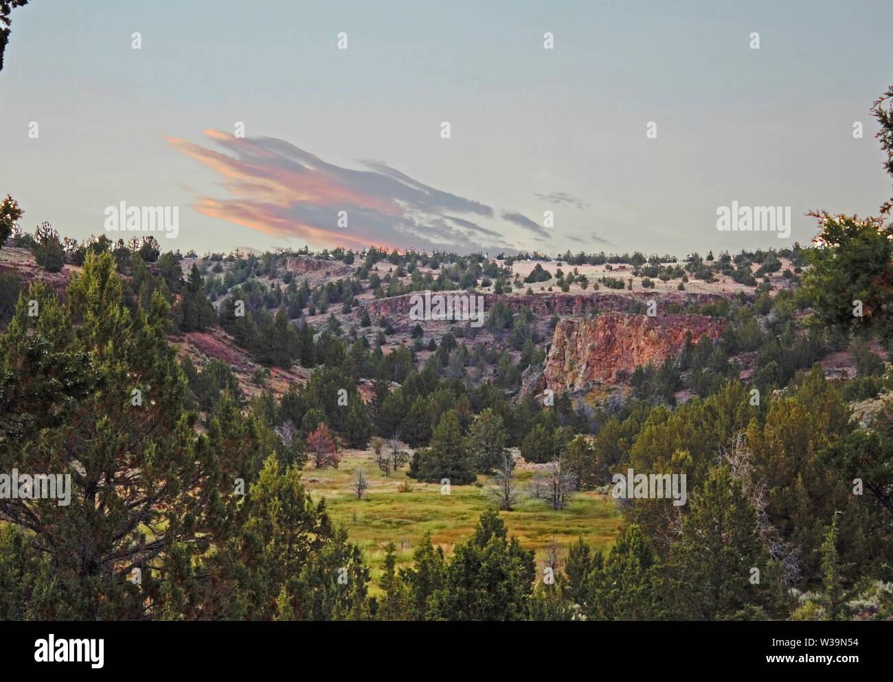 Eine versteckte, grünen Wiese im rauen östlichen Oregon Wüste. Stockfoto