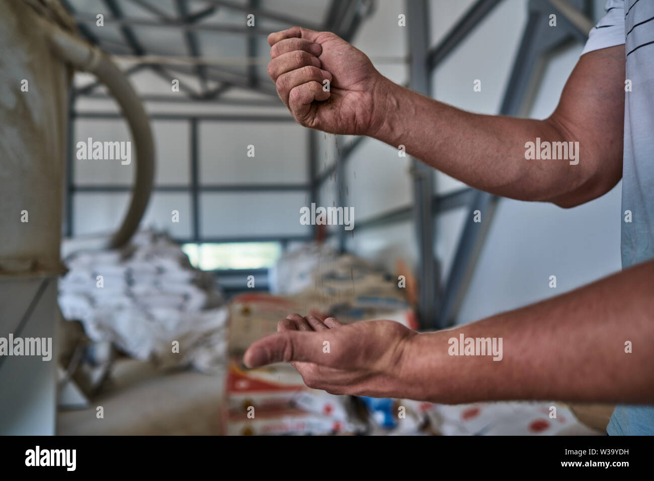 Mischfuttermitteln in die Hand eines Mannes Stockfoto