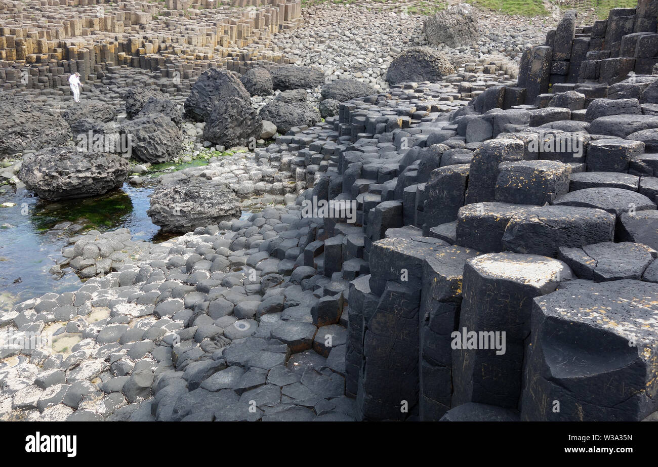 Die Oberseiten der Schwarzen sechseckigen Basaltsäulen Verriegelung auf Causeway Coastal Weg des Riesen, County Antrim, Nordirland, Großbritannien. Stockfoto