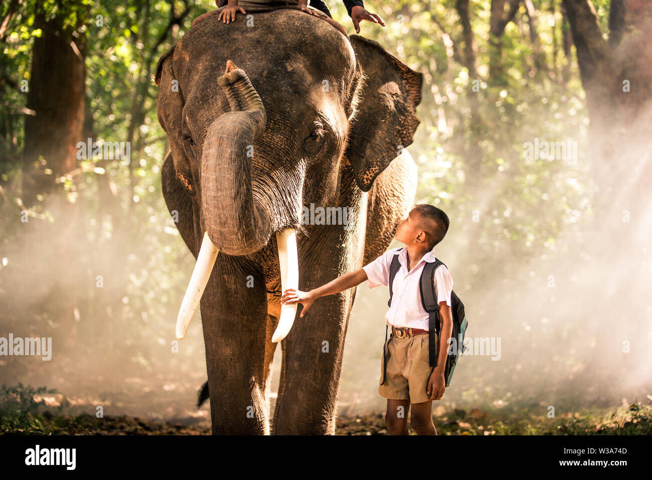Elefanten und School Zicklein im asiatischen Dschungel in Thailand - Thai Elephant in Surin region Stockfoto
