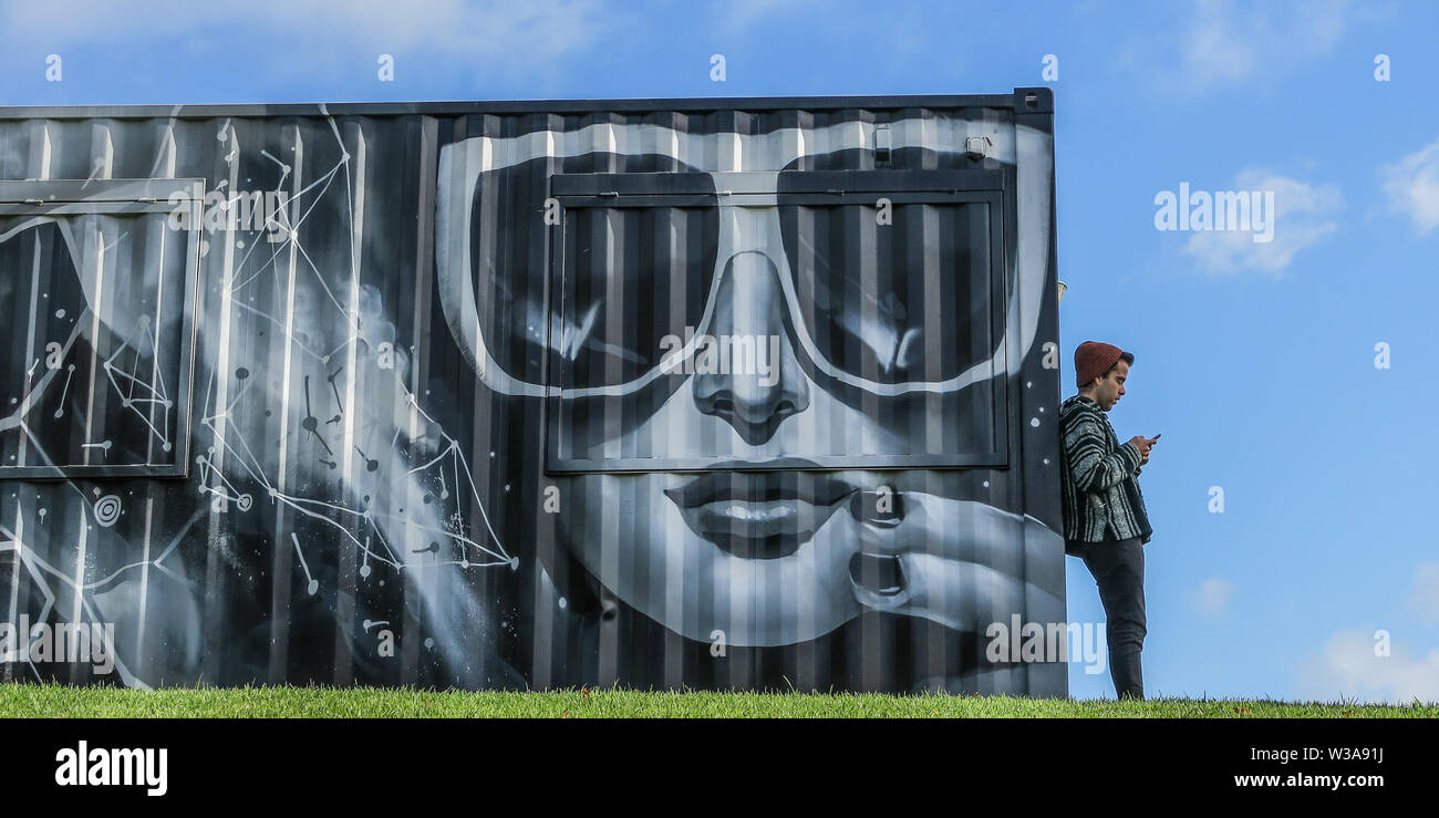 Melbourne Australien: ein Container wird als Leinwand für einige dramatische Kunstwerke in der Domäne Gärten in Melbourne Australien verwendet. Stockfoto