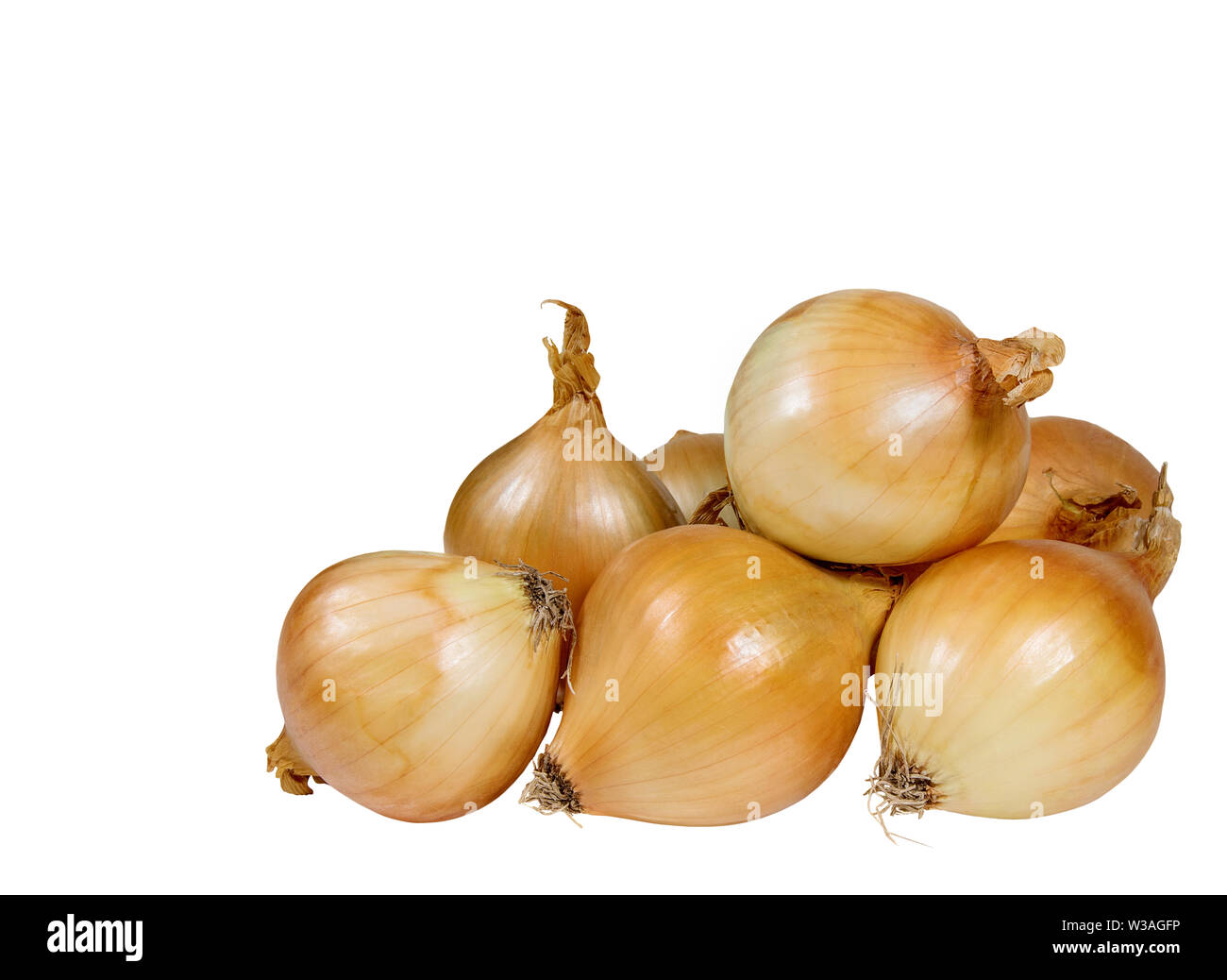 Bild isoliert auf weißem Gemüse Zwiebel Hintergrund Stockfoto