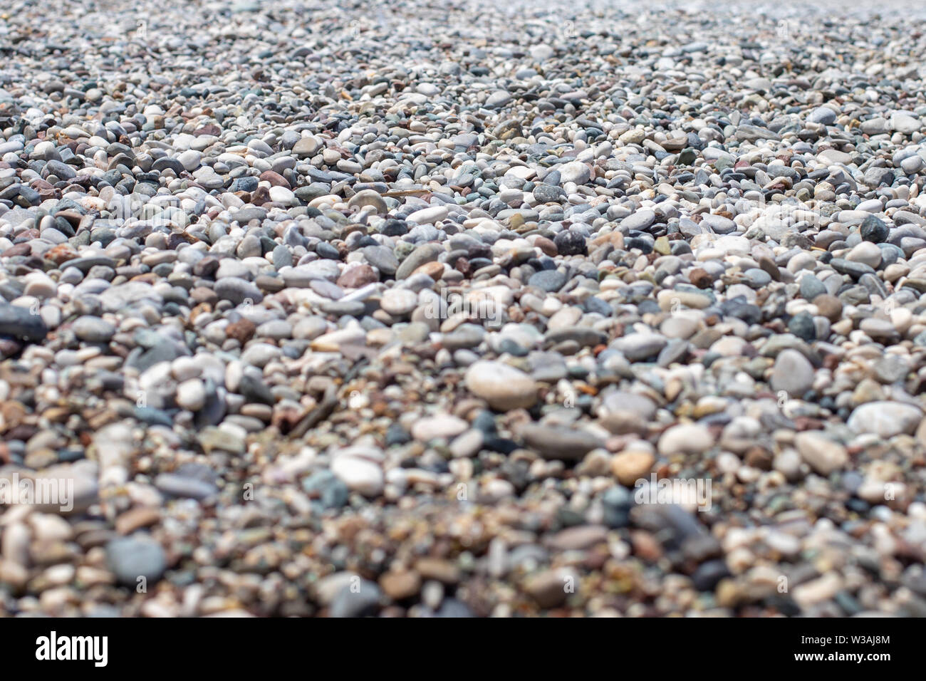 Die Textur der Kieselstrand entfernt. Hintergrund Der kleine Kieselsteine am Strand. Runden Kieseln. Verschwommenen Hintergrund. Ein Bild mit offener Blende Stockfoto