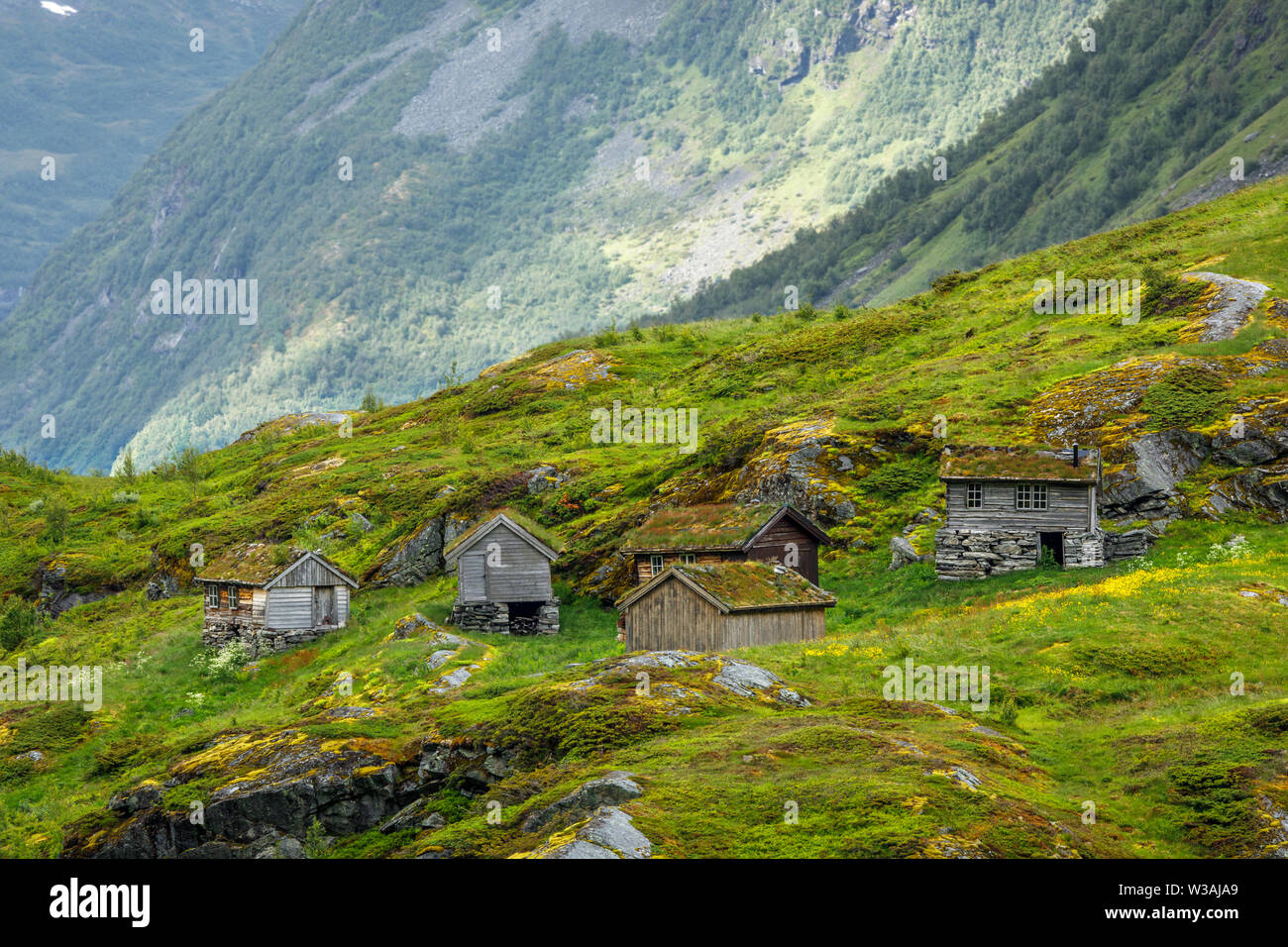 Norwegischen Bergdorf mit traditionellen Rasen Dach Häuser, Geiranger, Sunnmore region, Mehr og Romsdal County, Norwegen Stockfoto