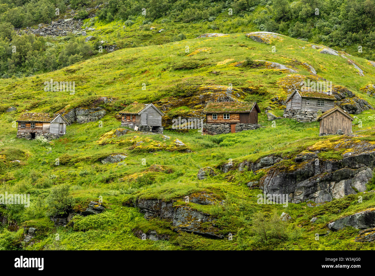 Norwegischen Bergdorf mit traditionellen Rasen Dach Häuser, Geiranger, Sunnmore region, Mehr og Romsdal County, Norwegen Stockfoto