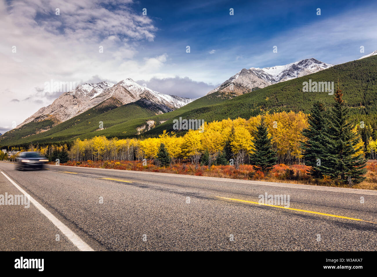 Gelbe Lärchen und schneebedeckten Bergen in der Nähe von Straße in Kananaskis National Park, Kanada. Stockfoto