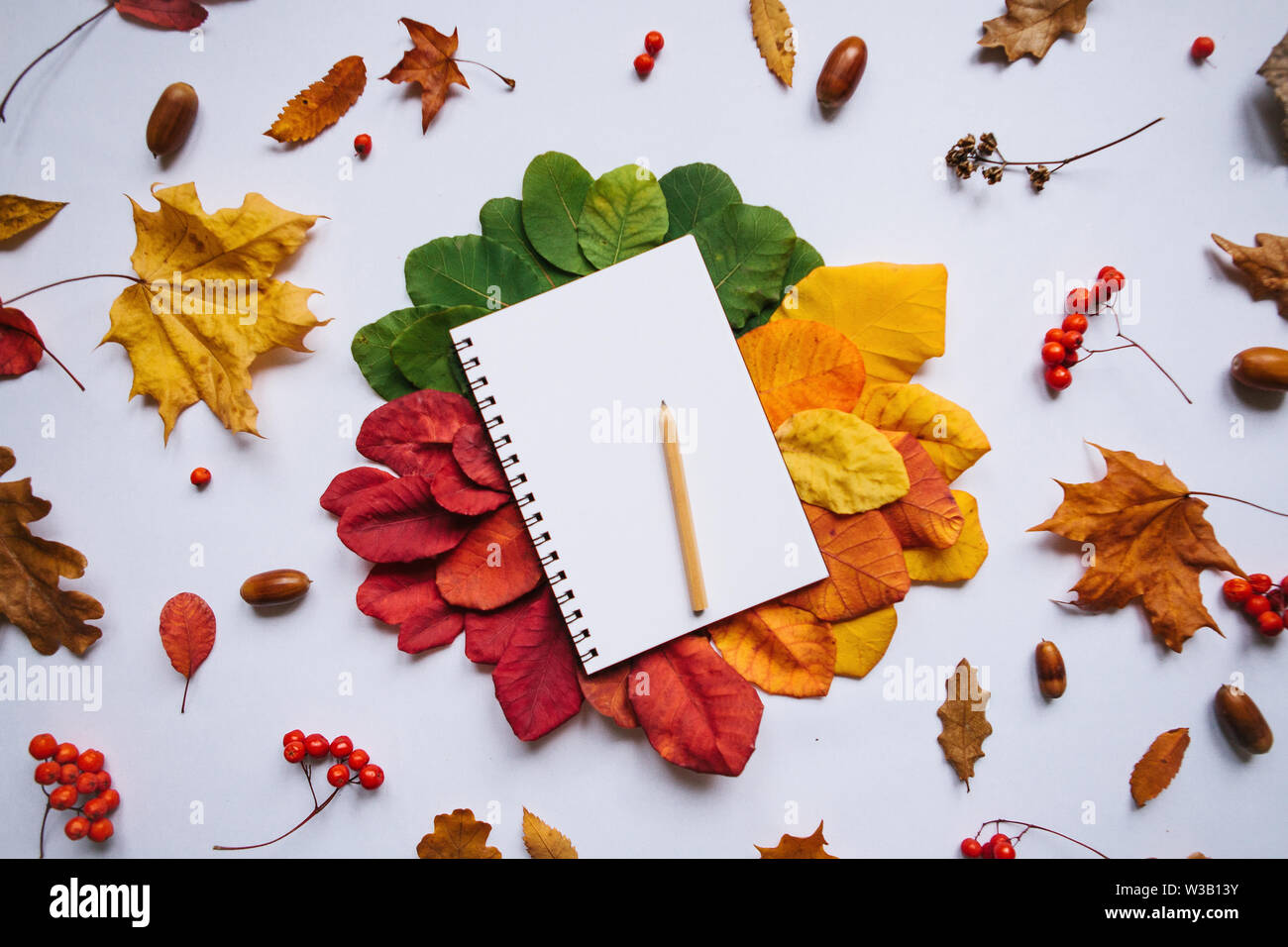 Leere notepad für das Schreiben oder für eine Wunschliste auf ein Herbst Hintergrund farbiger Blätter Stockfoto