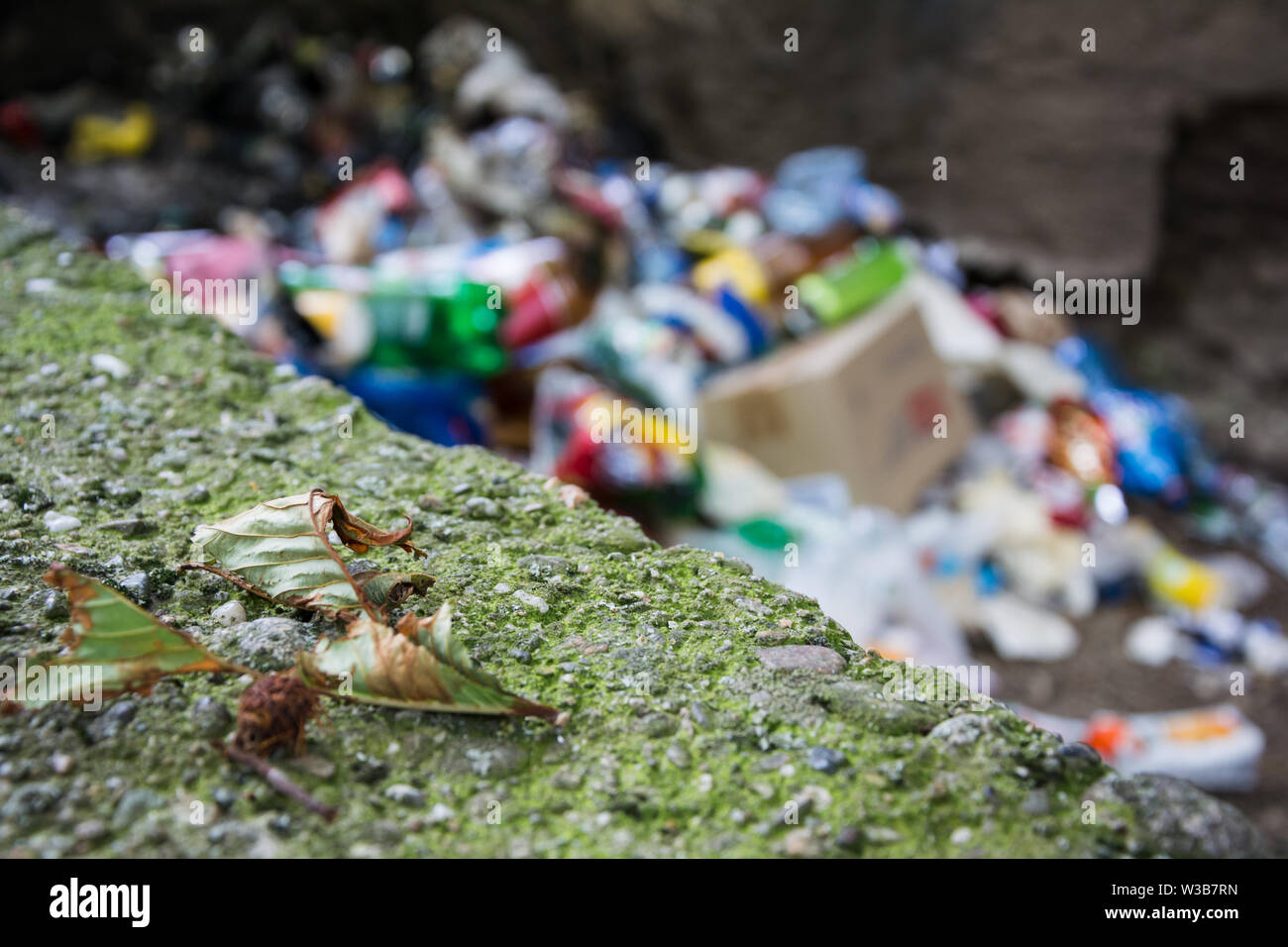 Gefallenen getrocknete Blätter und ein Haufen Müll im Hintergrund. Umweltverschmutzung Stockfoto