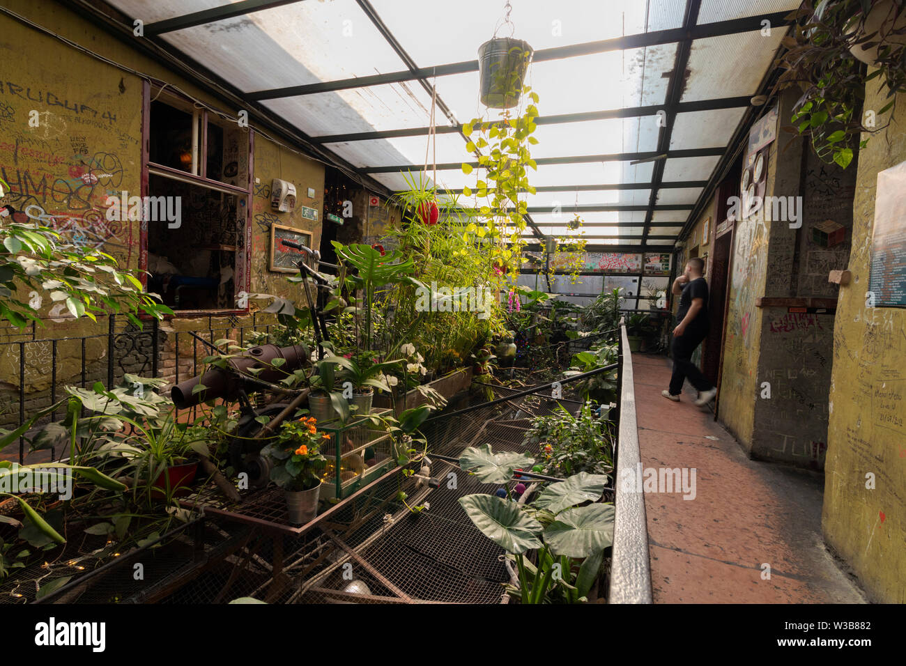 BUDAPEST, Ungarn - 09 April, 2019: Winter Garden mit einem dichten Wald von Zimmerpflanzen im Szimpla Kert pub ruinieren. Stockfoto