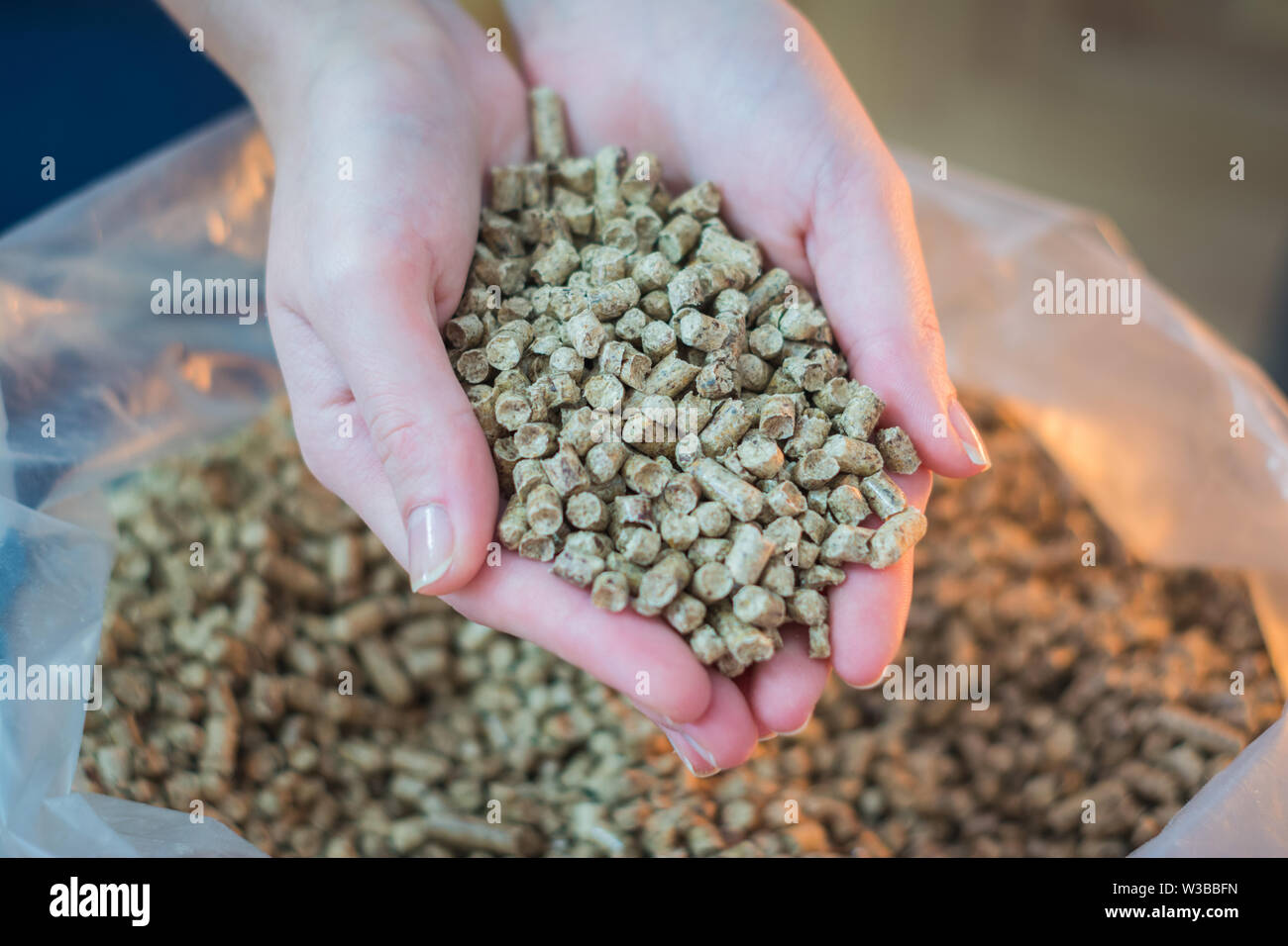 Heap der natürlichen Holz Pellet für Heizung in Frauenhand. Eco Energiekonzept, Bio Fuel Stockfoto