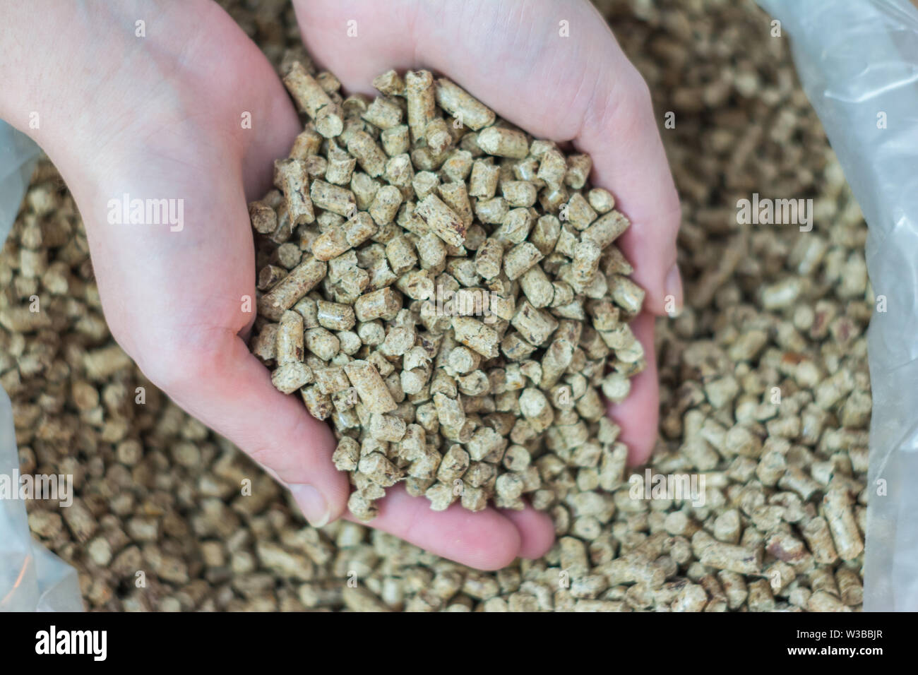 Heap der natürlichen Holz Pellet für Heizung in Frauenhand. Eco Energiekonzept, Bio Fuel Stockfoto